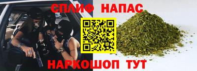 кокс Кингисепп