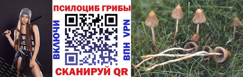 Псилоцибиновые грибы Cubensis  Лиски 