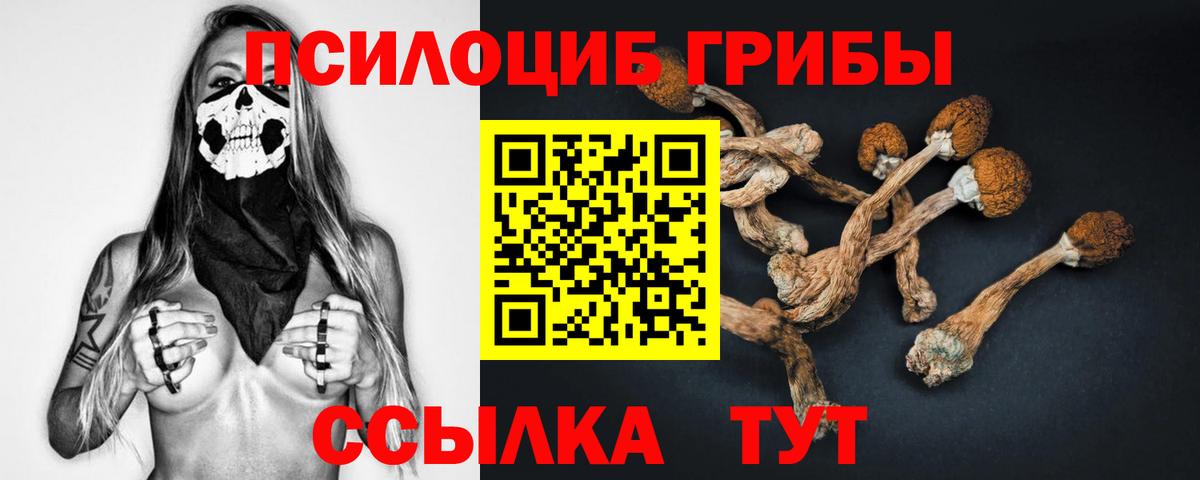 Псилоцибиновые грибы GOLDEN TEACHER  Вход с VPN  как найти наркотики  Галлюциногенные грибы мухоморы  Лиски 